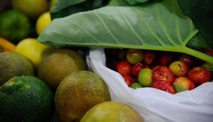 Registro de novos agrotóxicos segue em alta no Brasil, diz Mapa